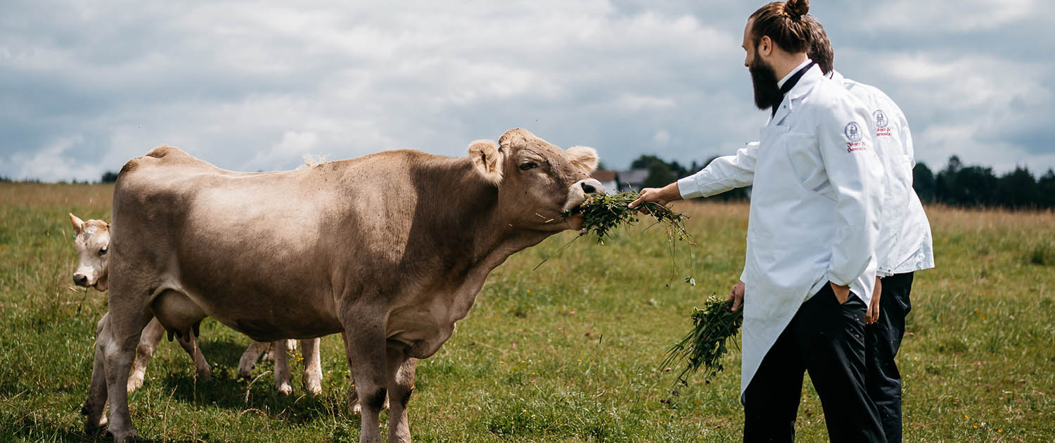 bestes Fleisch vom BIO Rind aus Weidehaltung