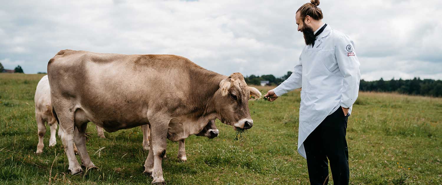 BIO Rindfleisch aus Weidehaltung