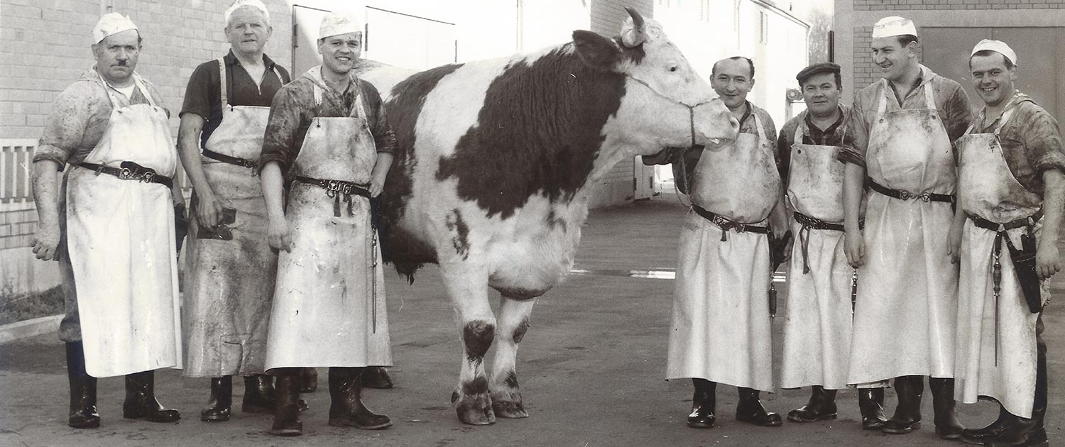 historische Fotografie des Metzgermeisters Stocker mit Schlachtbullen
